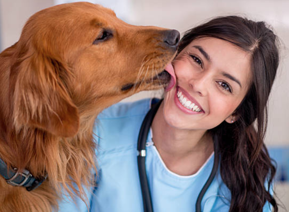 Clínica Mascotilandia